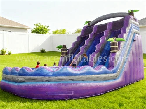 Curved Inflatable Water Slide suppliers